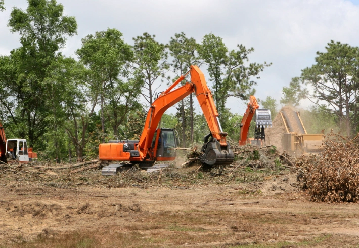 Land Clearing & Forestry Mulching Jesup,GA